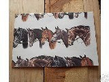 English Horses All Occasion Wrapping Paper